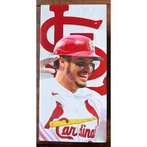 Nolan Arenado St. Louis Cardinals MLB Purina Bobblehead With Dog New In Box